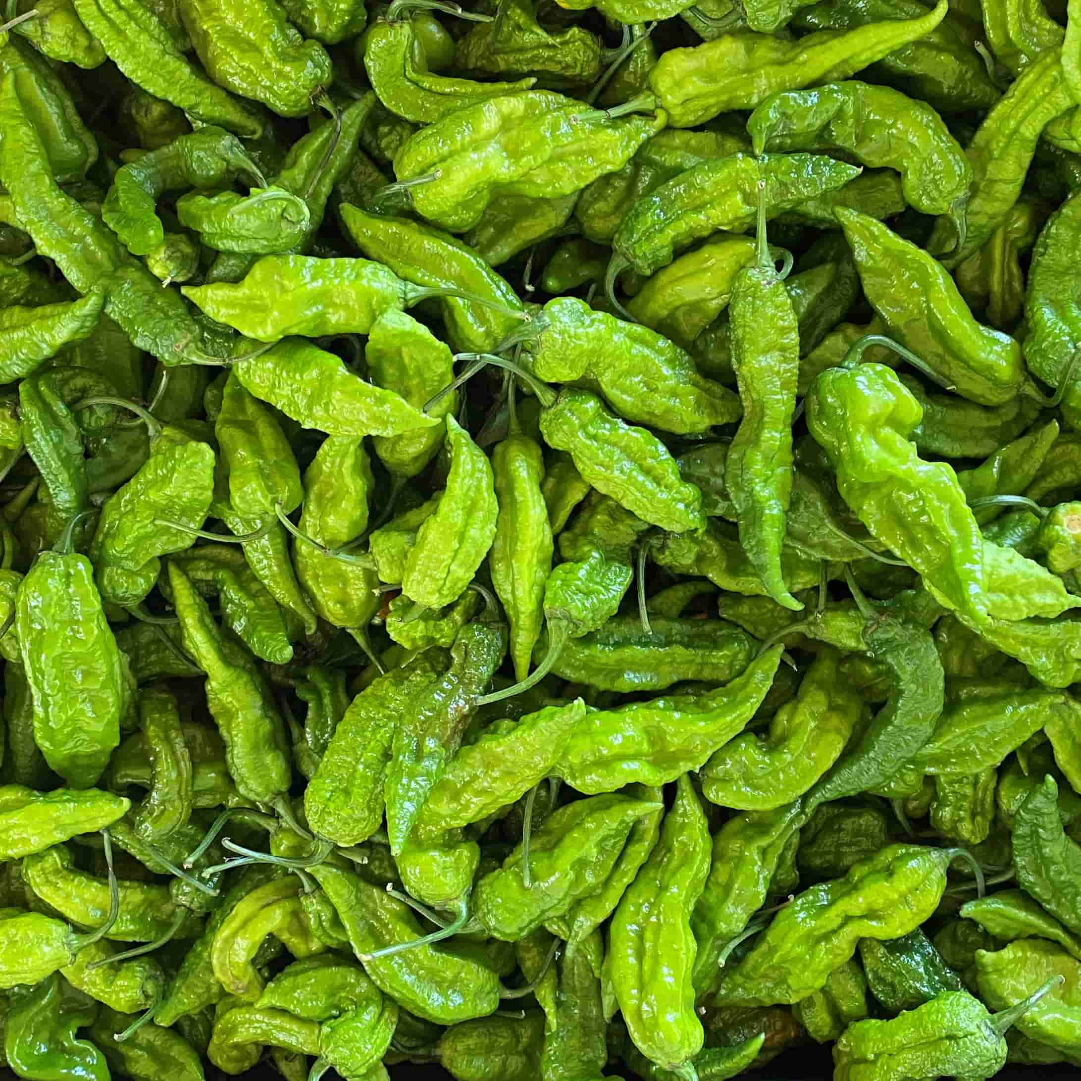 Green Chilli Fresh Pods Chilli Kings