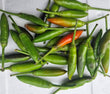 Birds Eye Chilli -FRESH