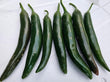 Green Cayenne (Long Green Chilli) -FRESH