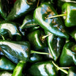 Poblano Peppers (Green) - FRESH