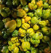 Trinidad 7 Pod Yellow - Half Ripe - Frozen