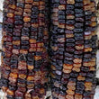 Corn - Multi Coloured Aztek - Seeds