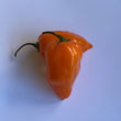 Habanero Orange - Frozen Chilli - 3kg