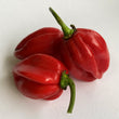 Habanero Red - Powder