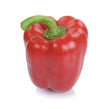 Capsicum CK - Seeds