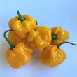 Jamaican Hot Yellow Chilli - Frozen Chilli - 3kg
