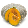 Pumpkin - Jap | Seeds