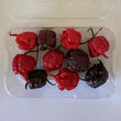Carolina Reaper $10 Pack | Red, Chocolate & Mixed - Fresh Chilli