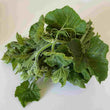 Pumpkin Leaves  - Fresh Bunch or Box