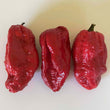 Trinidad 7 Pod/Pot Jonah Red - Frozen Chilli - 3kg
