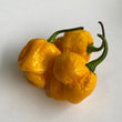 Trinidad 7 Pod Yellow - Frozen Pods - 3 Kg box