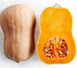 Pumpkin - Butternut | Seeds