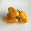 Habanero Golden Yellow -Frozen Chilli - 3 kg