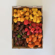 Mixed Chilli 3kg Box - Fresh